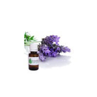 huile essentiel lavandin