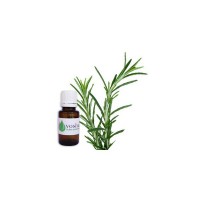 Huile Essentielle de Romarin Officinalis